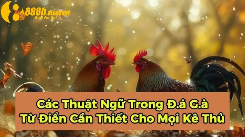 Kê thủ cần hiểu thuật ngữ đá gà khi cá cược